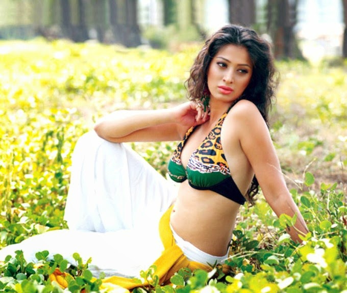 Lakshmi Rai Nude Video S - Raai Lakshmi Photo-shoot Stills - South Indian Actress
