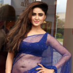 Sony Charishta Stills in Blue Saree