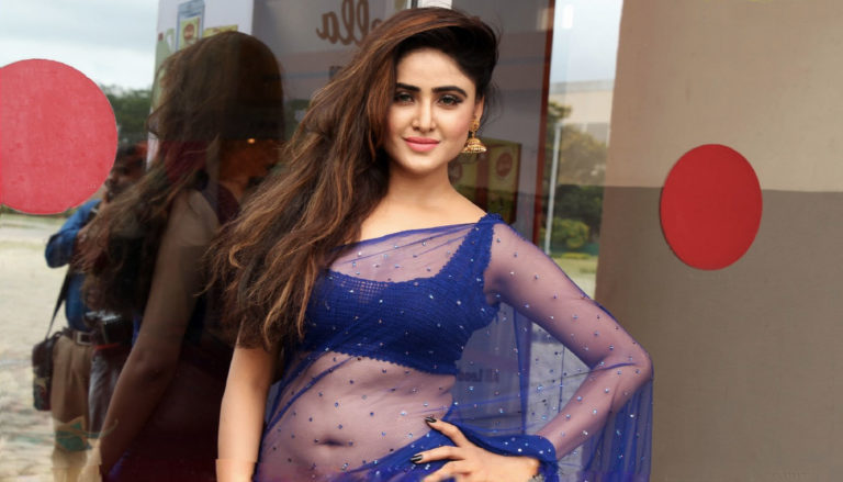 Sony Charishta Stills in Blue Saree