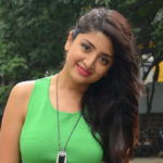 Poonam Kaur At Prayanam Telugu Movie Opening