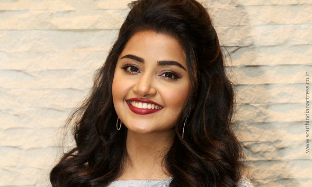 Anupama Parameswaran at Vunnadi Okate Zindagi Pre Release