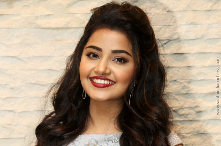 Anupama Parameswaran at Vunnadi Okate Zindagi Pre Release