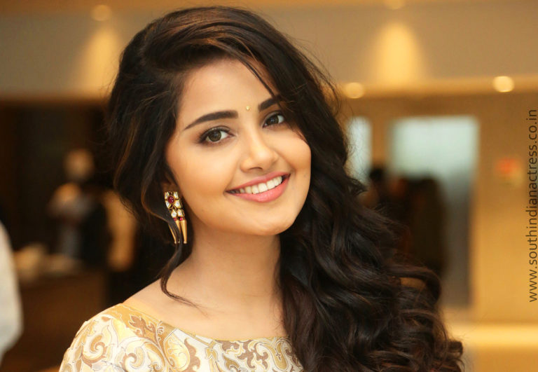 Anupama Parameswaran at Vunnadi Okate Zindagi Movie Thanks Meet