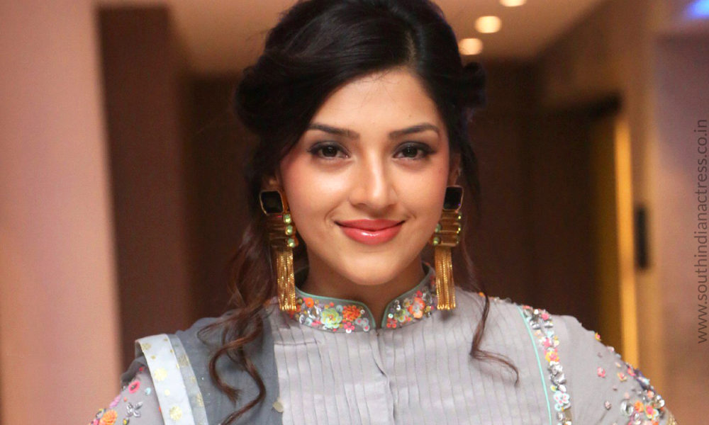 Mehreen Pirzada at Raja At The Great Success Meet