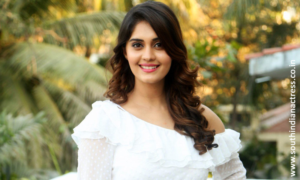 Surbhi at Okka Kshanam Success Celebrations