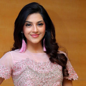 Mehreen Pirzada at Nota Movie Press Meet Stills