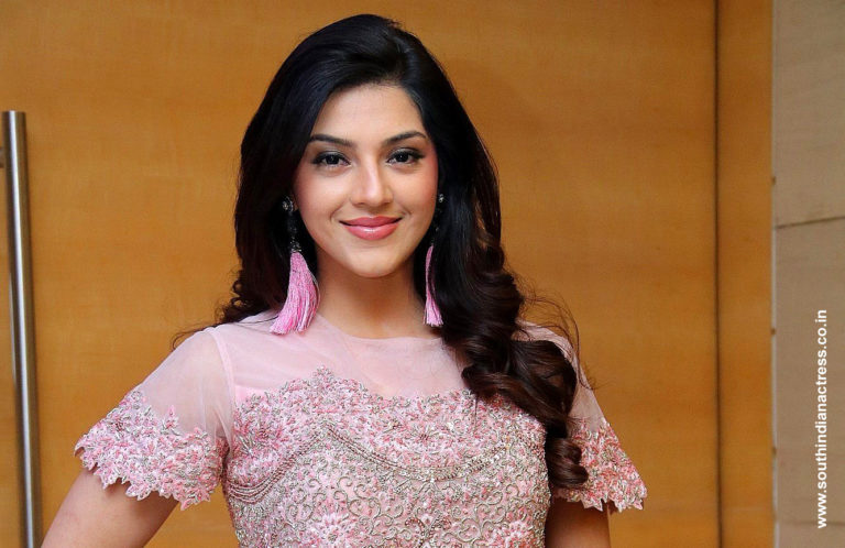 Mehreen Pirzada at Nota Movie Press Meet Stills