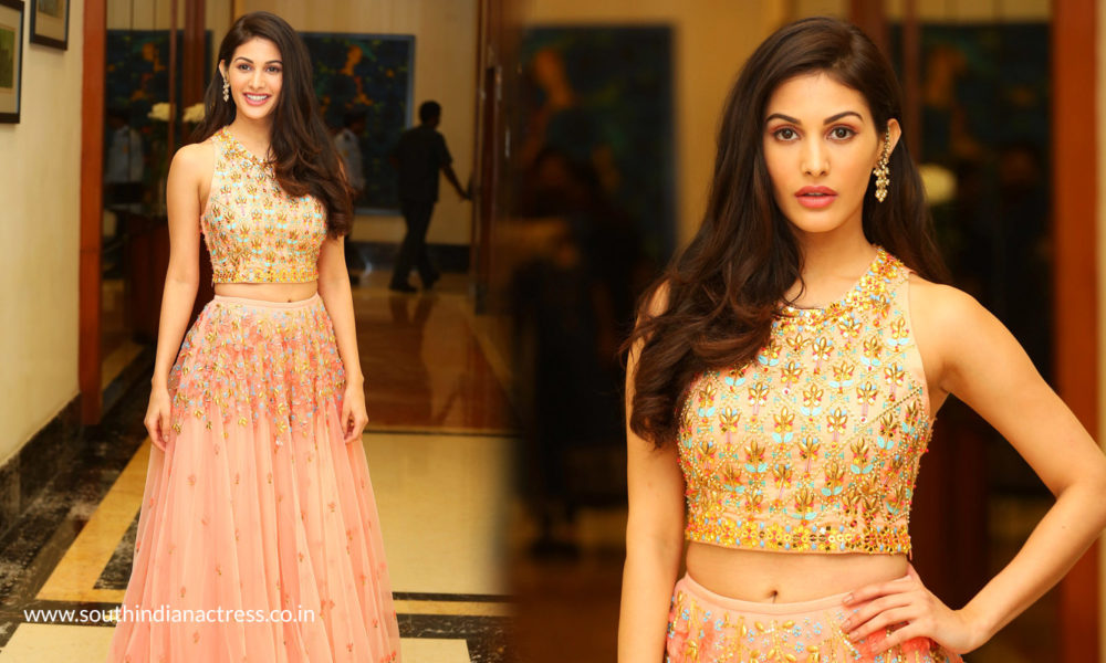 Amyra Dastur at Raju Gadu Movie Pre Release Function