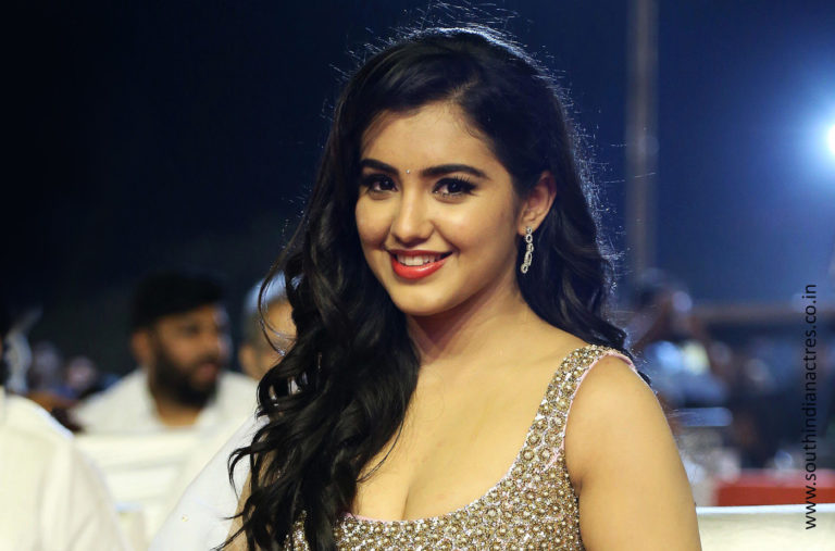 Malvika Sharma at Nela Ticket Audio Release