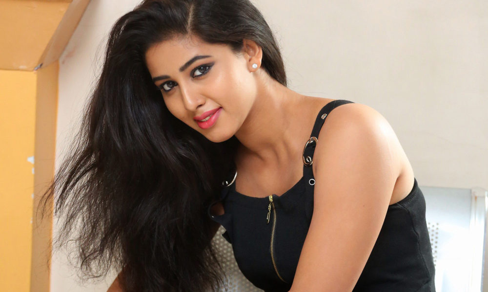 Pavani hot stills from Mr Homanand movie Audio Launch
