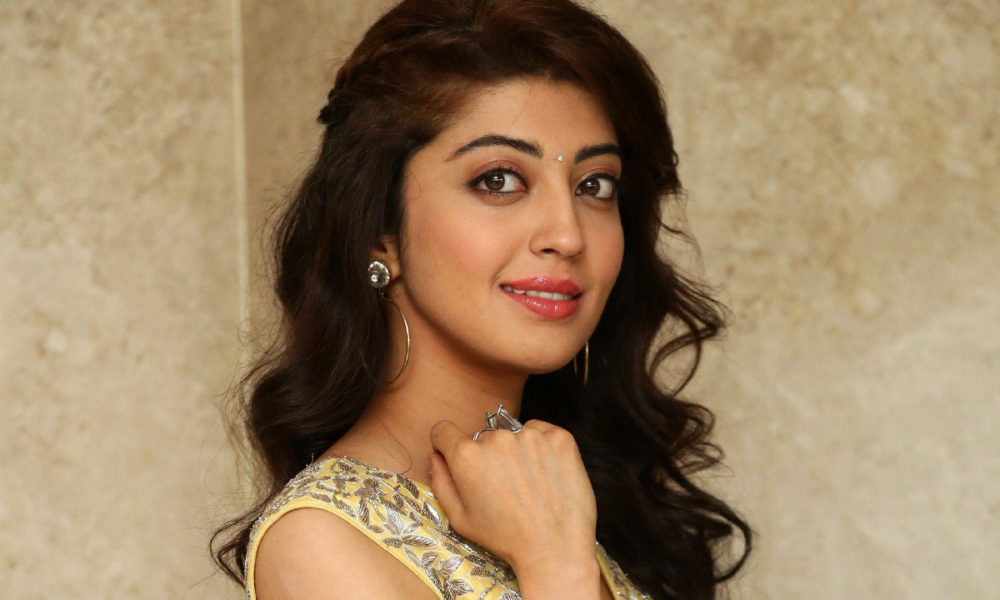 Pranitha Subhash at Hello Guru Prema Kosame Success Meet