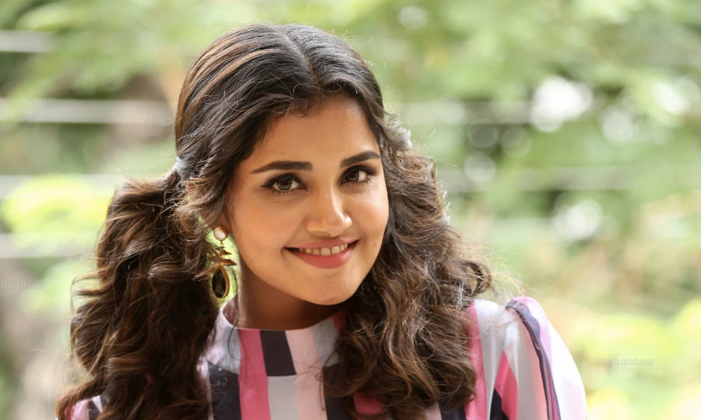 Anupama Parameswaran at Rakshasudu Interview