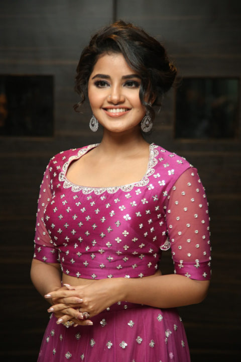 Anupama Parameswaran at Rakshasudu Pre-Release