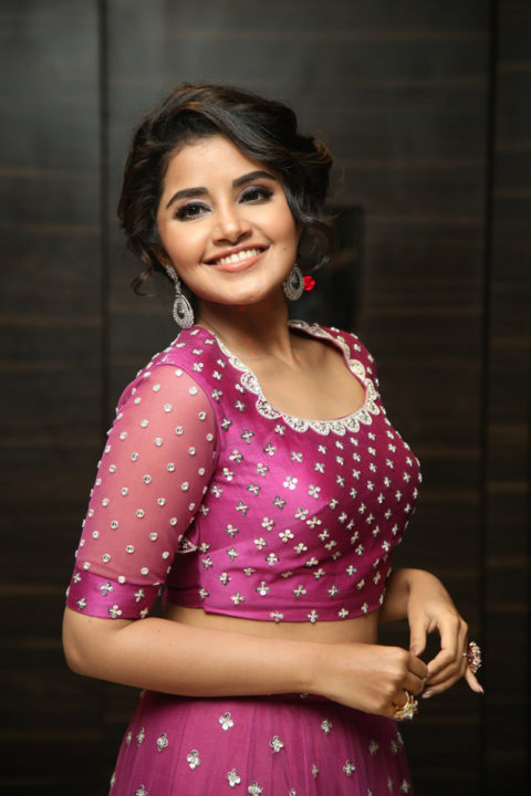 Anupama Parameswaran at Rakshasudu Pre-Release