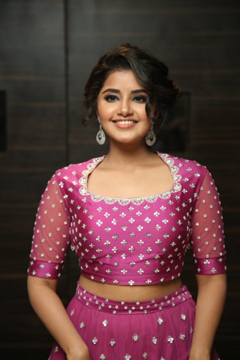 Anupama Parameswaran at Rakshasudu Pre-Release