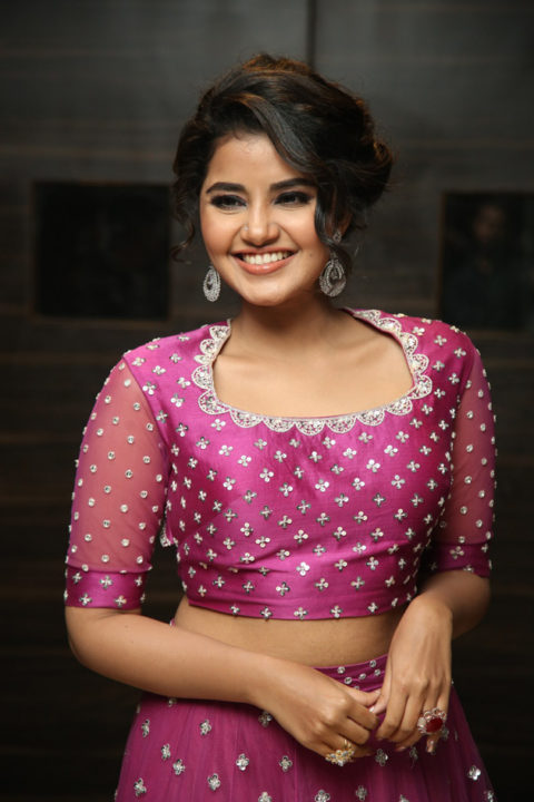 Anupama Parameswaran at Rakshasudu Pre-Release