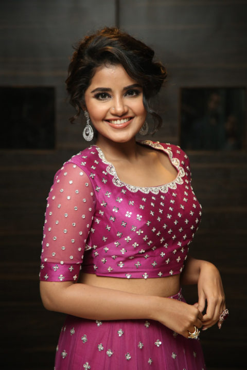 Anupama Parameswaran at Rakshasudu Pre-Release