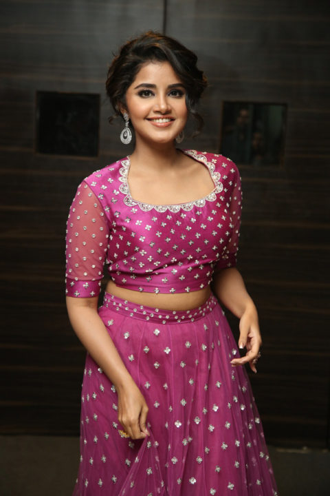 Anupama Parameswaran at Rakshasudu Pre-Release