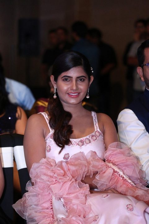 Ashima Narwal at SIIMA Awards 2019