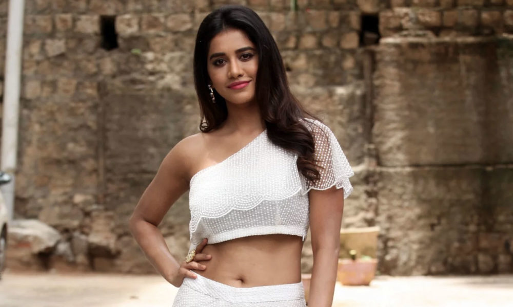 Nabha Natesh stills at iSmart Shankar interview