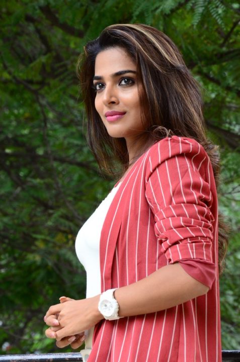 Guna 369 Movie Heroine Anagha Maruthora Photos