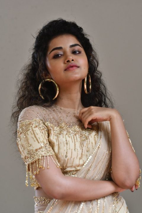 Anupama Parameswaran at Rakshasudu Press meet