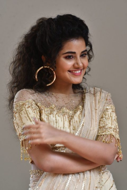 Anupama Parameswaran at Rakshasudu Press meet