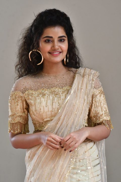 Anupama Parameswaran at Rakshasudu Press meet