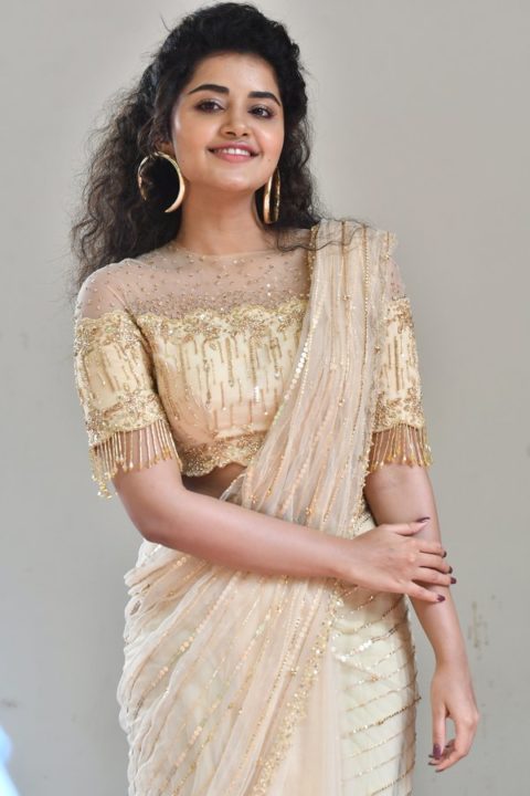 Anupama Parameswaran at Rakshasudu Press meet