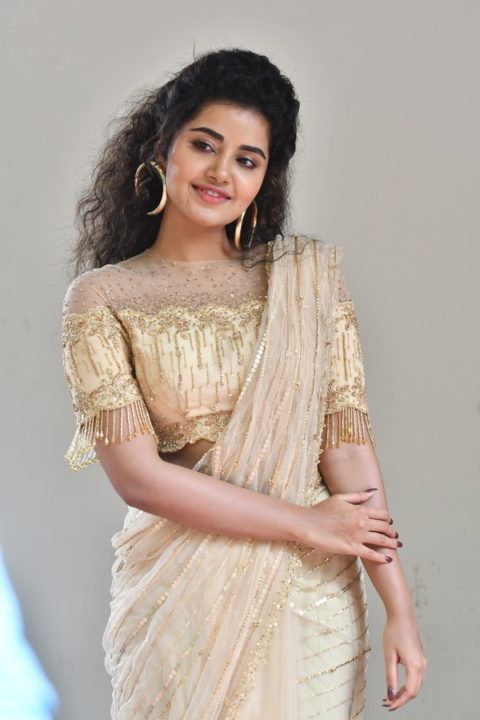 Anupama Parameswaran at Rakshasudu Press meet