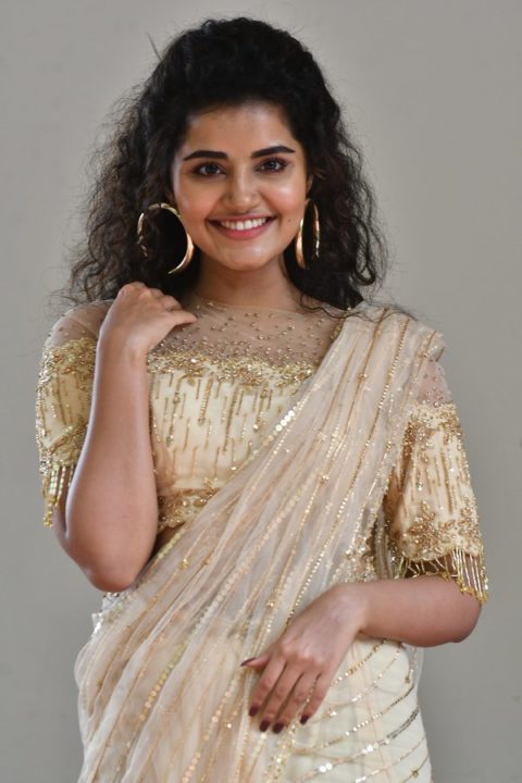 Anupama Parameswaran at Rakshasudu Press meet