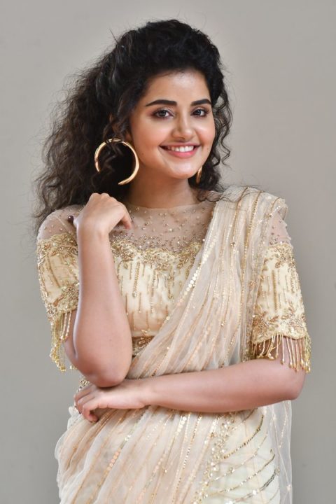 Anupama Parameswaran at Rakshasudu Press meet