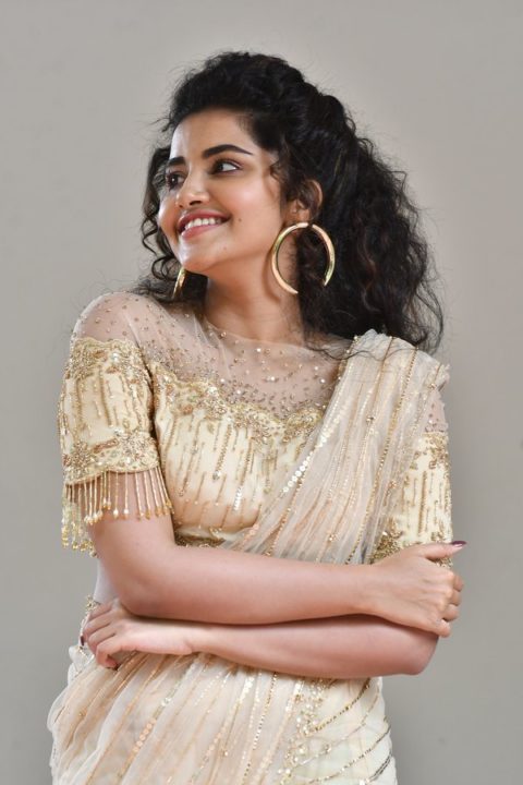 Anupama Parameswaran at Rakshasudu Press meet