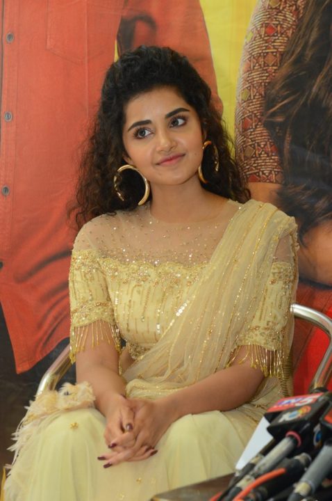 Anupama Parameswaran at Rakshasudu Press meet