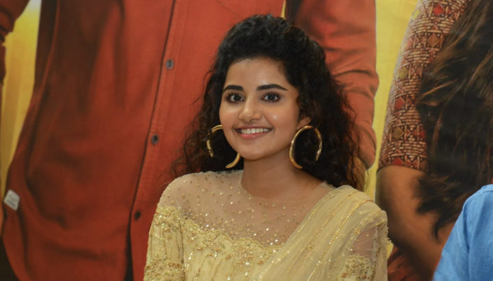 Anupama Parameswaran at Rakshasudu Press meet