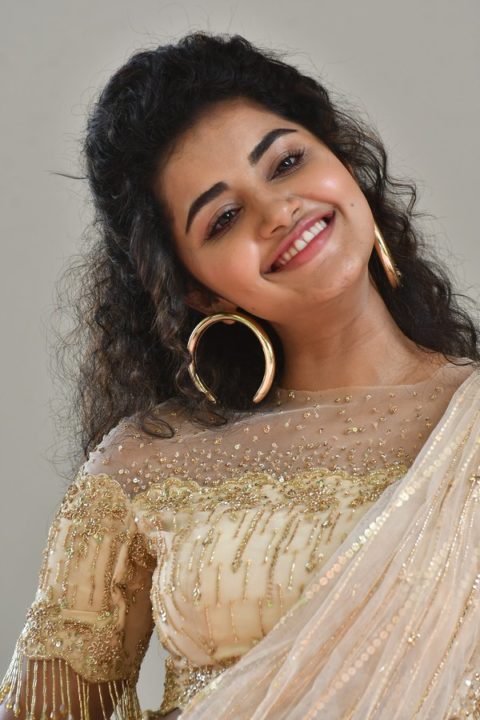 Anupama Parameswaran at Rakshasudu Press meet