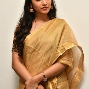 Previous Image