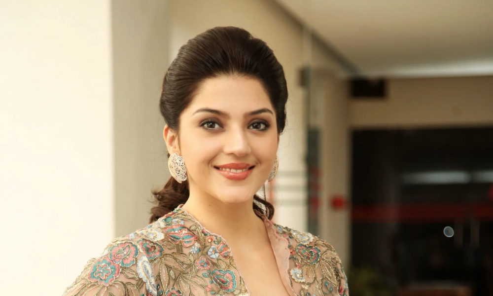 Mehreen Pirzada stills at Chanakya movie press meet