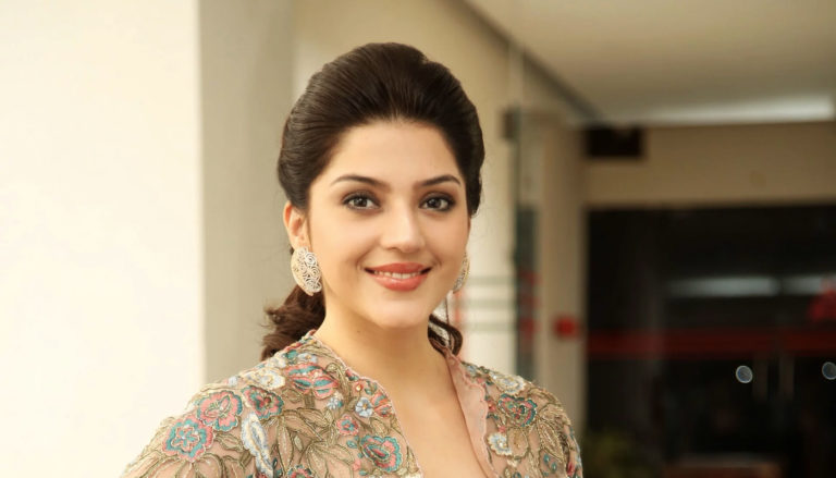 Mehreen Pirzada stills at Chanakya movie press meet