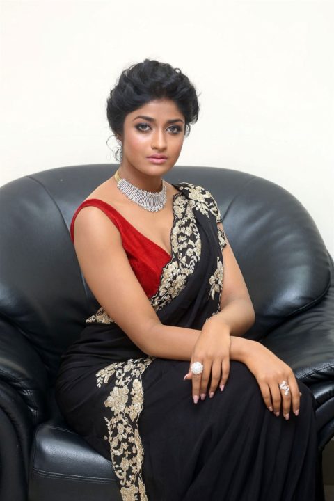 Dimple Hayati saree photos at Valmiki Pre Release
