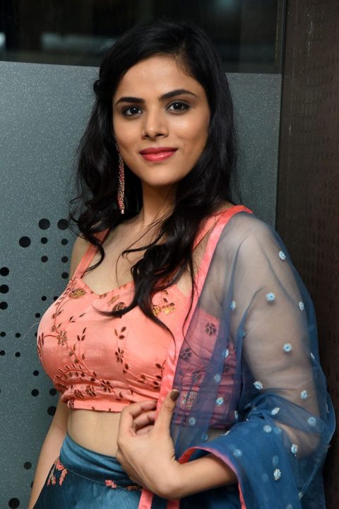 Kriti Garg at 2 Hours Love Pre-Release Event