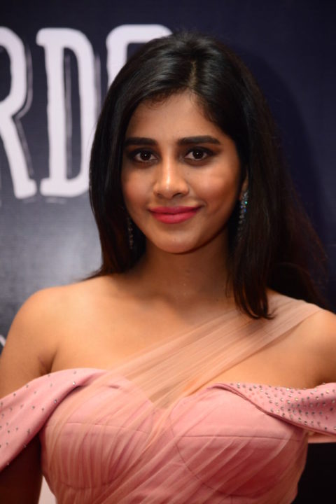 Nabha Natesh at Dadasaheb Phalke Awards South 2019