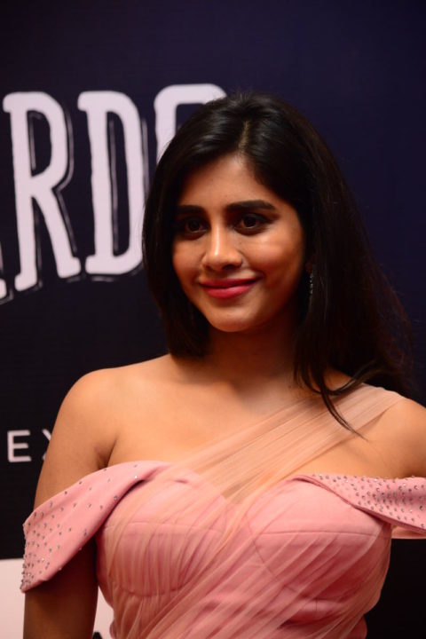 Nabha Natesh at Dadasaheb Phalke Awards South 2019