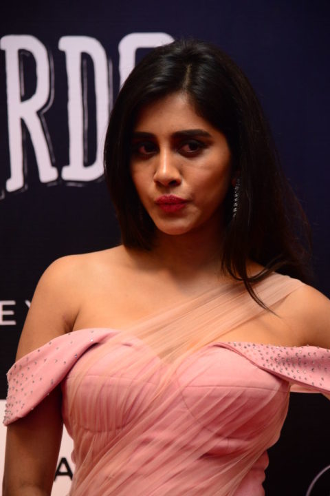 Nabha Natesh at Dadasaheb Phalke Awards South 2019