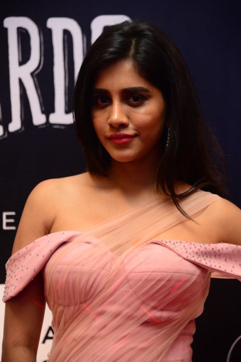 Nabha Natesh at Dadasaheb Phalke Awards South 2019