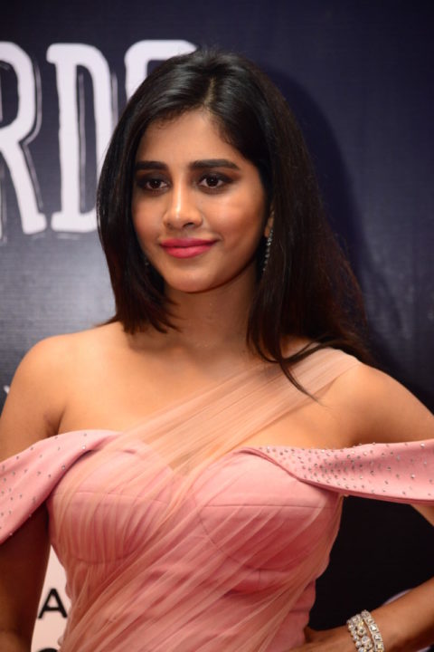 Nabha Natesh at Dadasaheb Phalke Awards South 2019