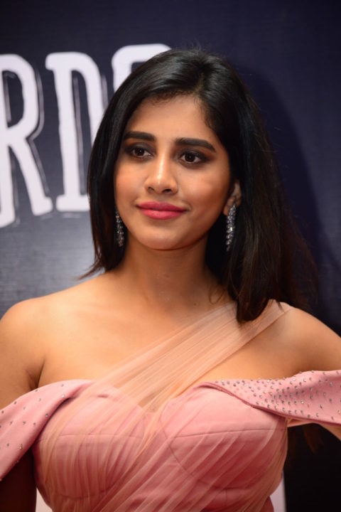 Nabha Natesh at Dadasaheb Phalke Awards South 2019