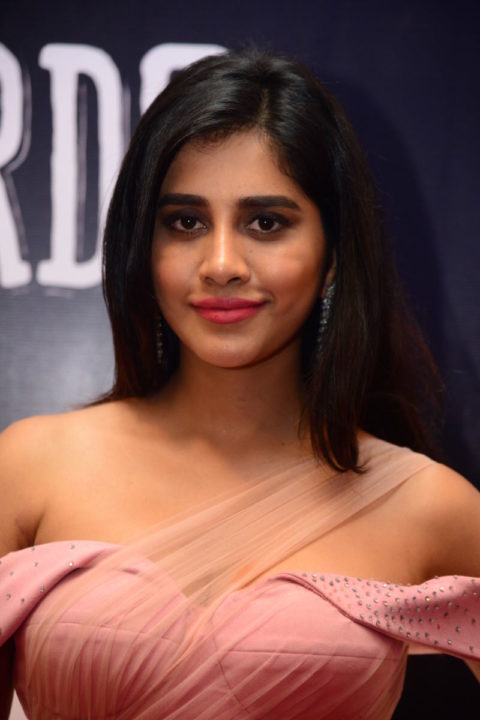 Nabha Natesh at Dadasaheb Phalke Awards South 2019