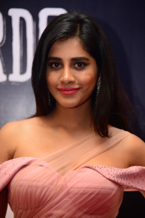 Nabha Natesh at Dadasaheb Phalke Awards South 2019