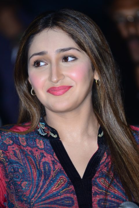 Sayyeshaa Saigal at Bandobast Movie Pre Release